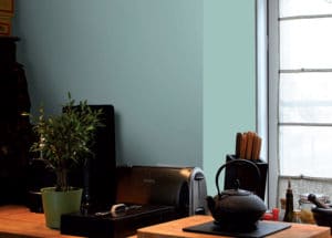 Onip-Sourcea-peinture-biosourcee-ambiance