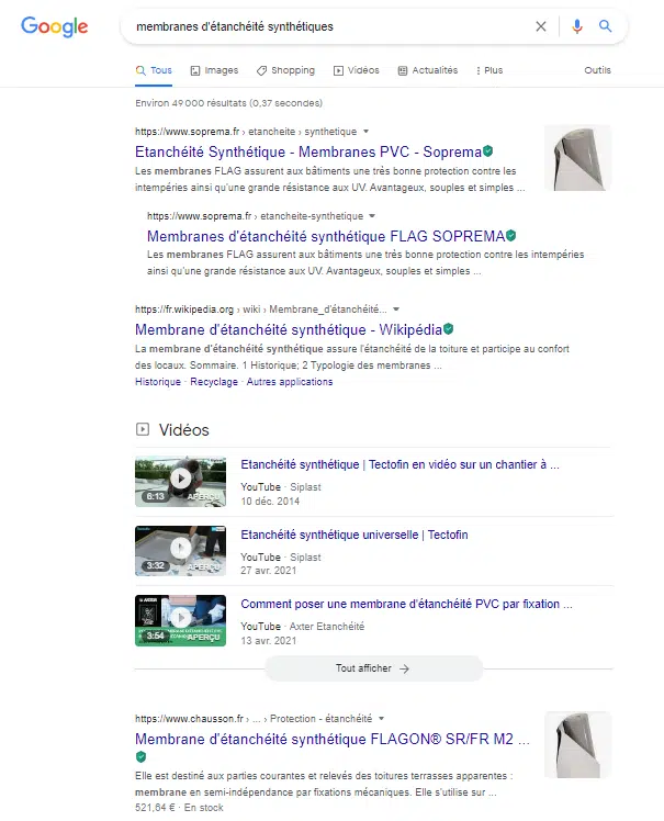referencement naturel couverture google